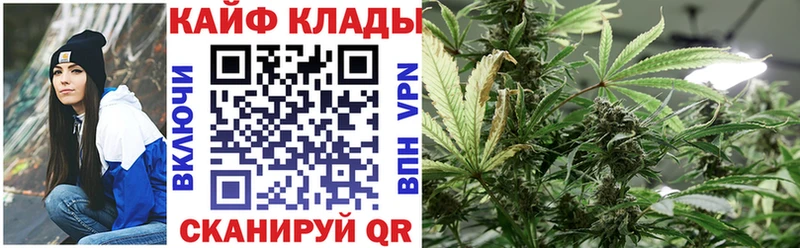 Купить закладку Новохопёрск A PVP Кокаин МЕФ ГАШИШ