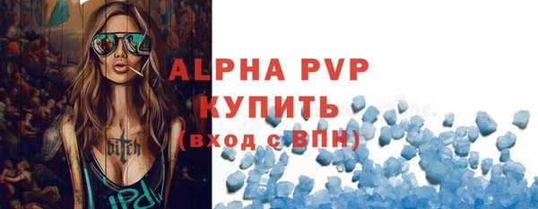 хмурый Гусев