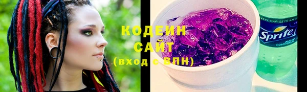 хмурый Гусев