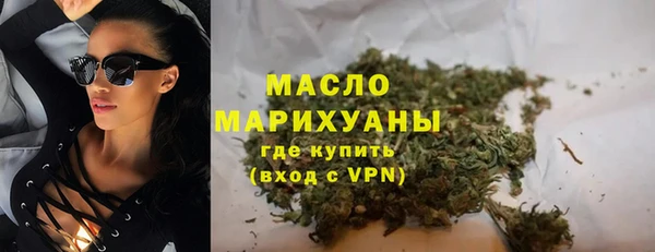 мдпв Гусь-Хрустальный