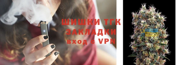 хмурый Гусев