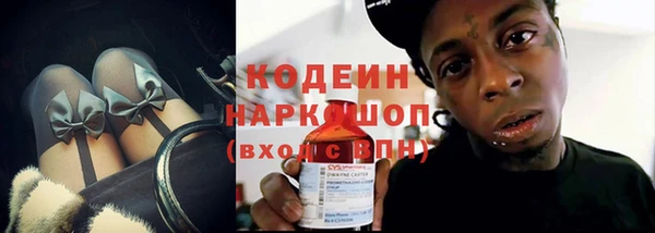 мдпв Гусь-Хрустальный