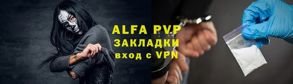 хмурый Гусев
