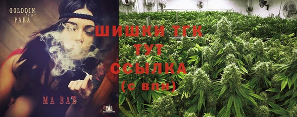 хмурый Гусев