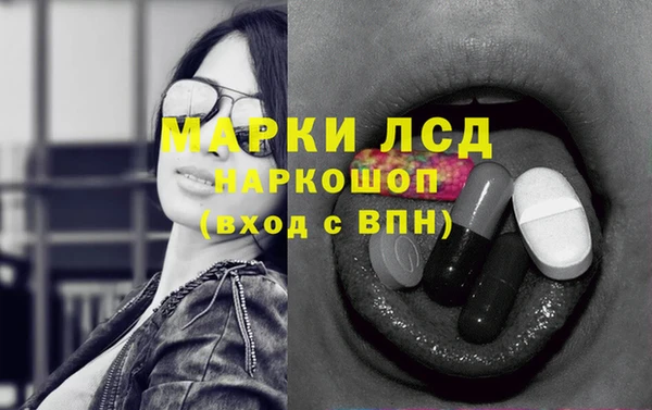 мдпв Гусь-Хрустальный