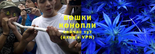 хмурый Гусев