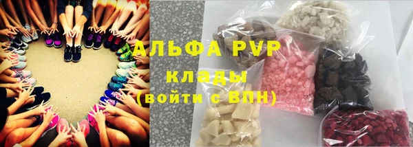 хмурый Гусев