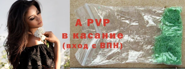хмурый Гусев