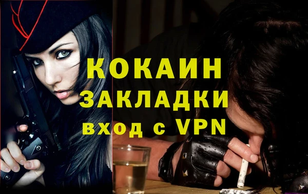 хмурый Гусев