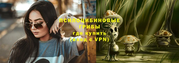 мдпв Гусь-Хрустальный