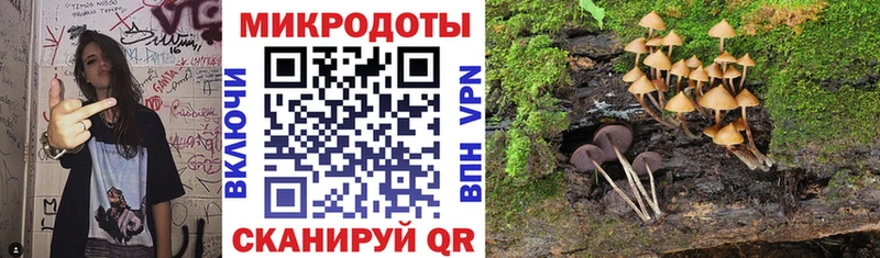 shop Telegram Новохопёрск Псилоцибиновые грибы Magic Shrooms